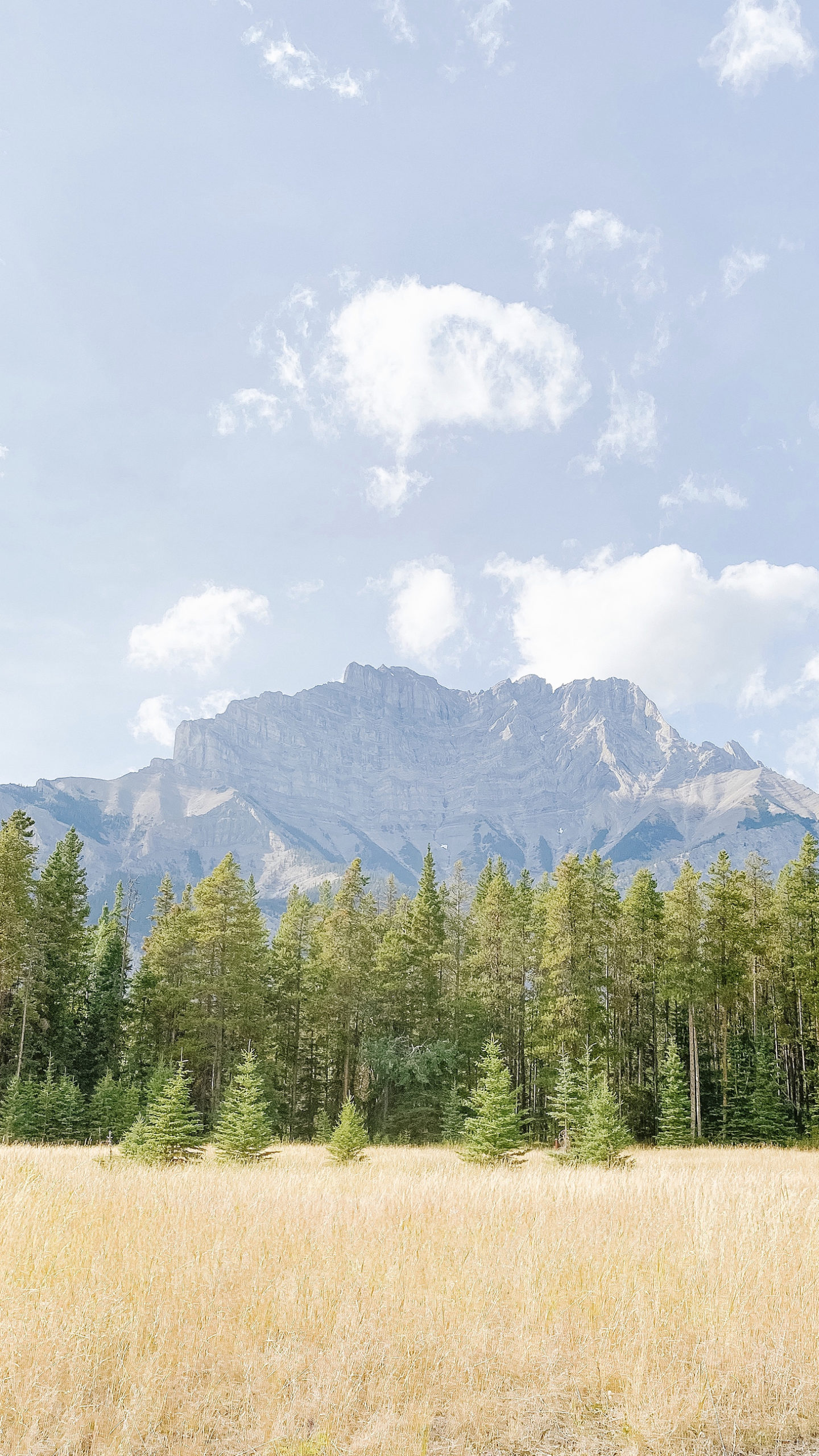 The rockies in Banff, Alberta