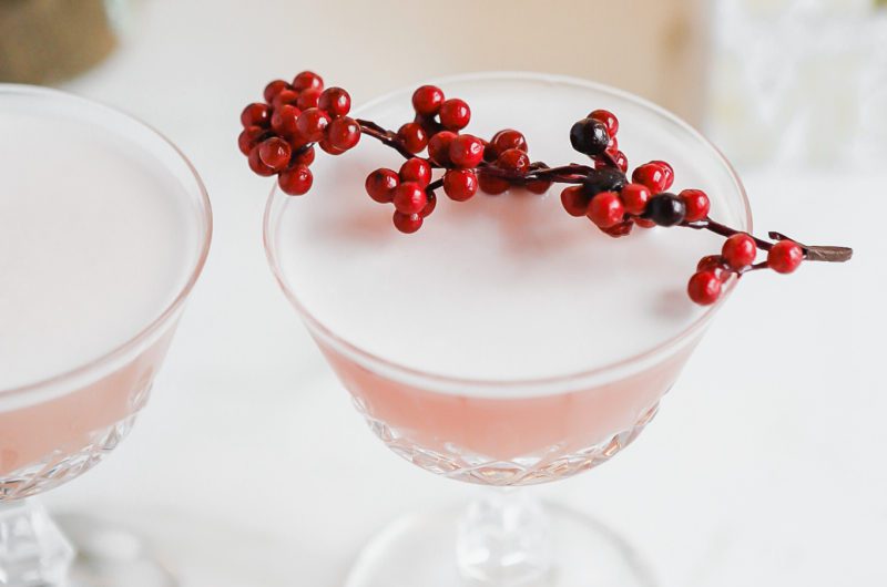 Cranberry Aquafaba Gin Sour Cocktail Recipe