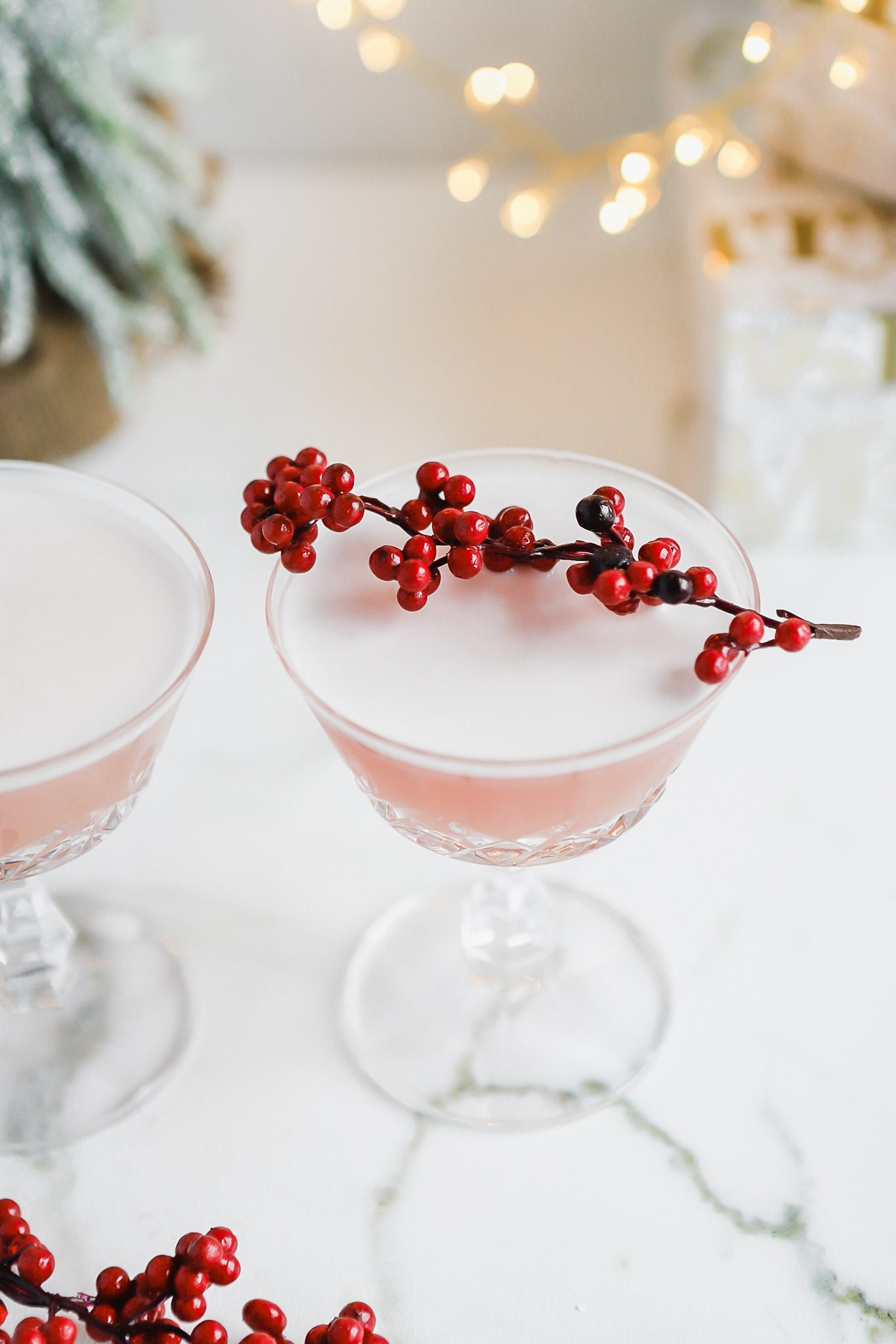 Cranberry Aquafaba Gin Sour Cocktail