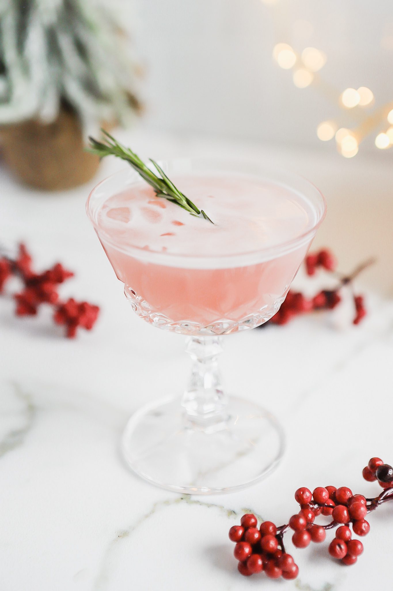 Cranberry Aquafaba Gin Sour Cocktail