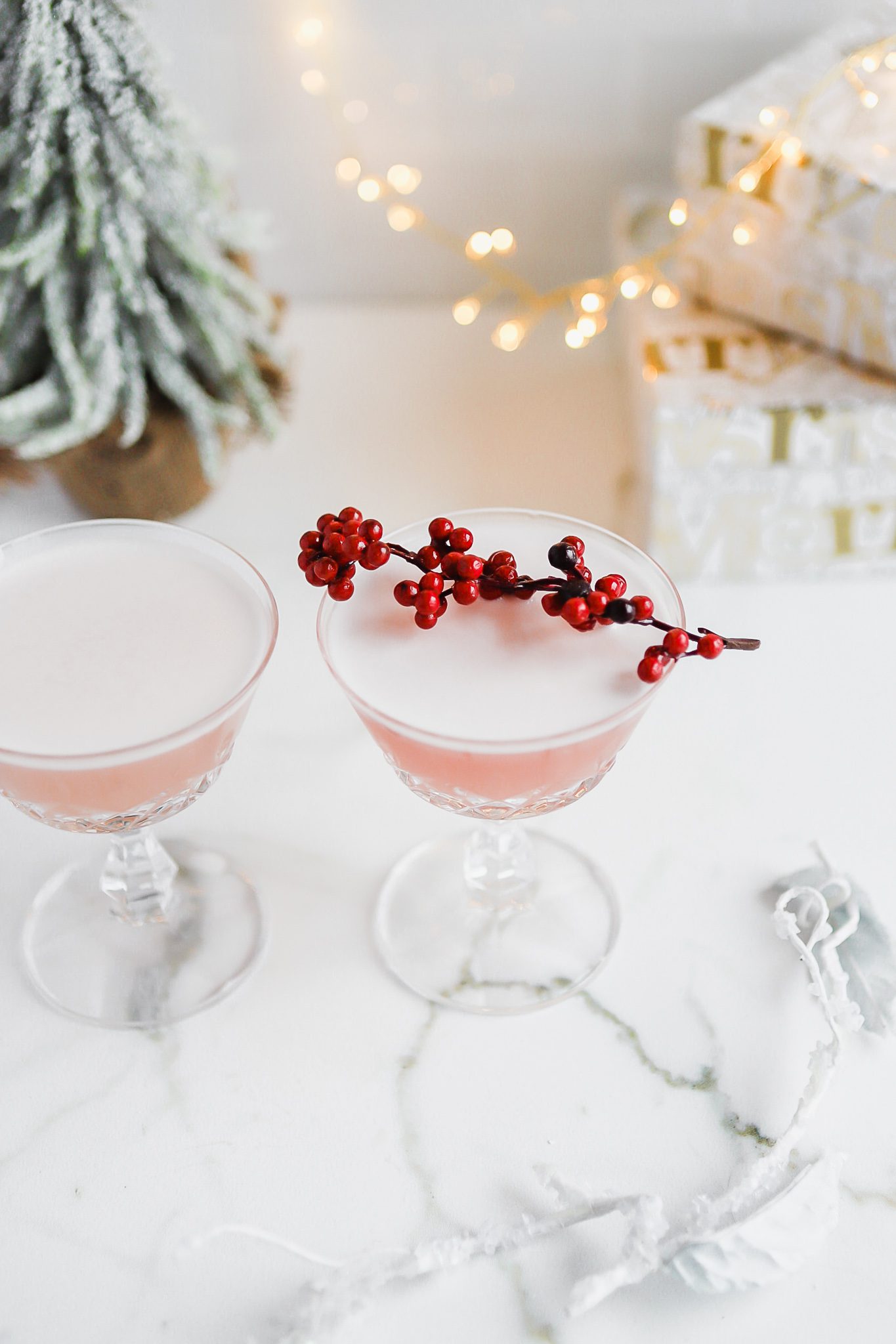 Cranberry Aquafaba Gin Sour Recipe