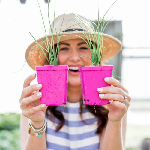 Jillian Harris Lifestyle - Garden Blog Categories