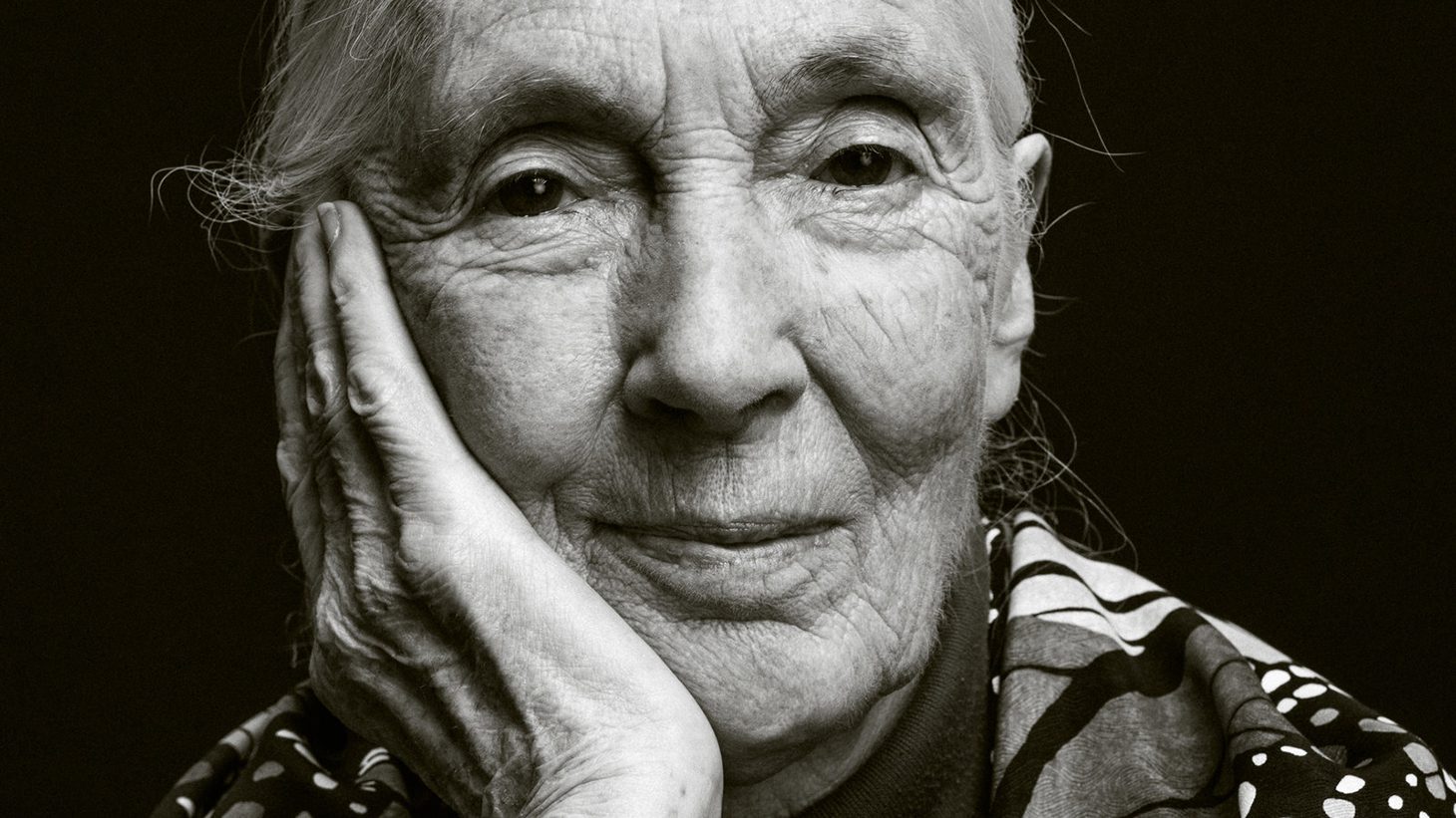 Jane Goodall Women's History Month Round-Up