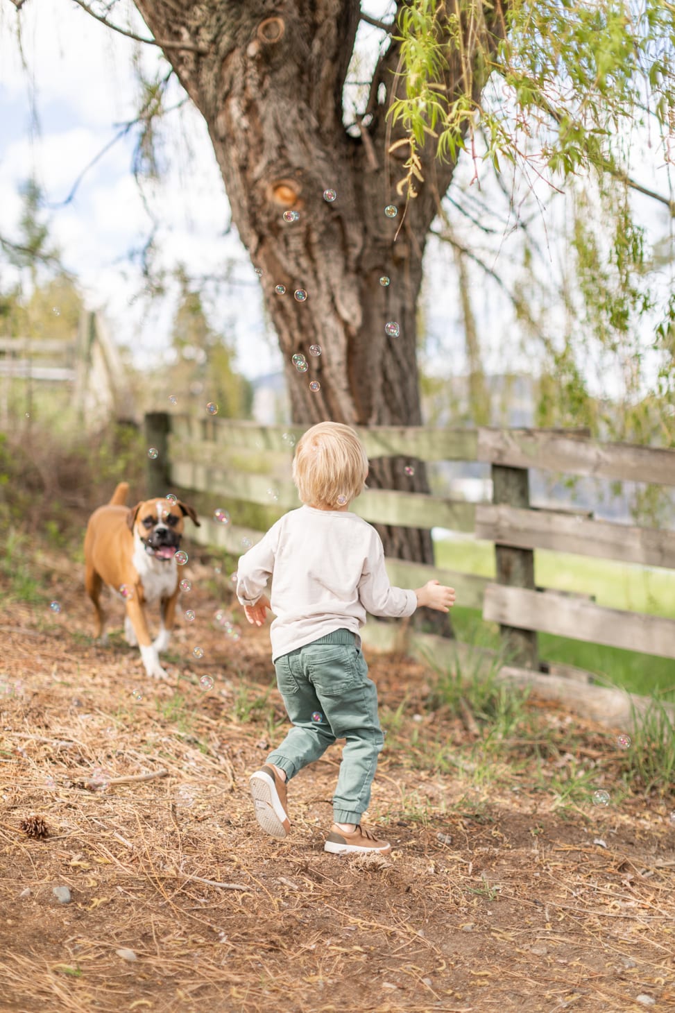 Jillian Harris Son, Leo 