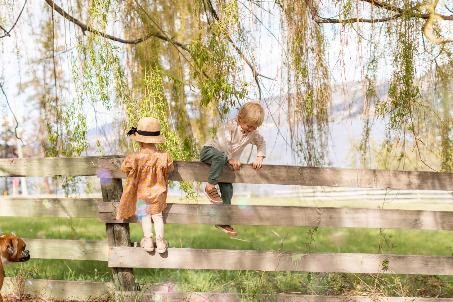 Annie and Leo at the Farm