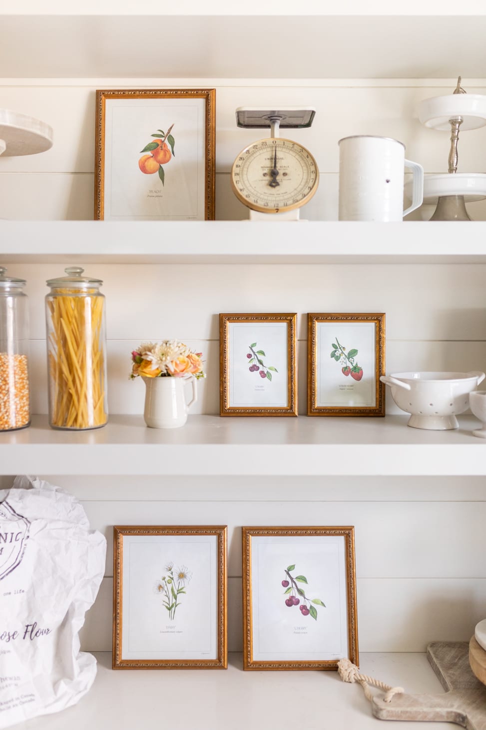 Jillian Harris x Kaitlin Hargreaves Botanical Print Collection