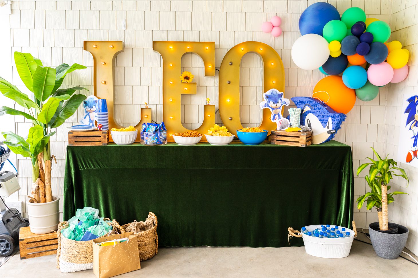 Leo Pasutto's 5th birthday decor