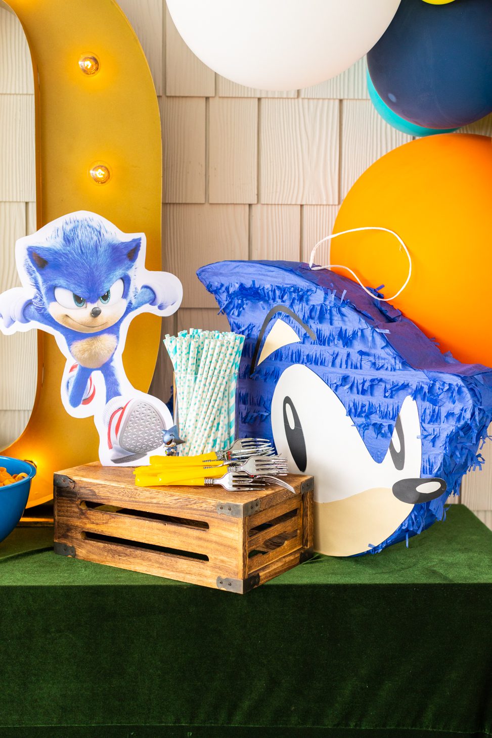 Sonic the Hedgehog themed party decor