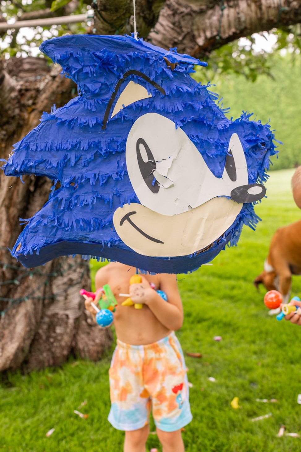 Sonic the Hedgehog Kids Piñata 