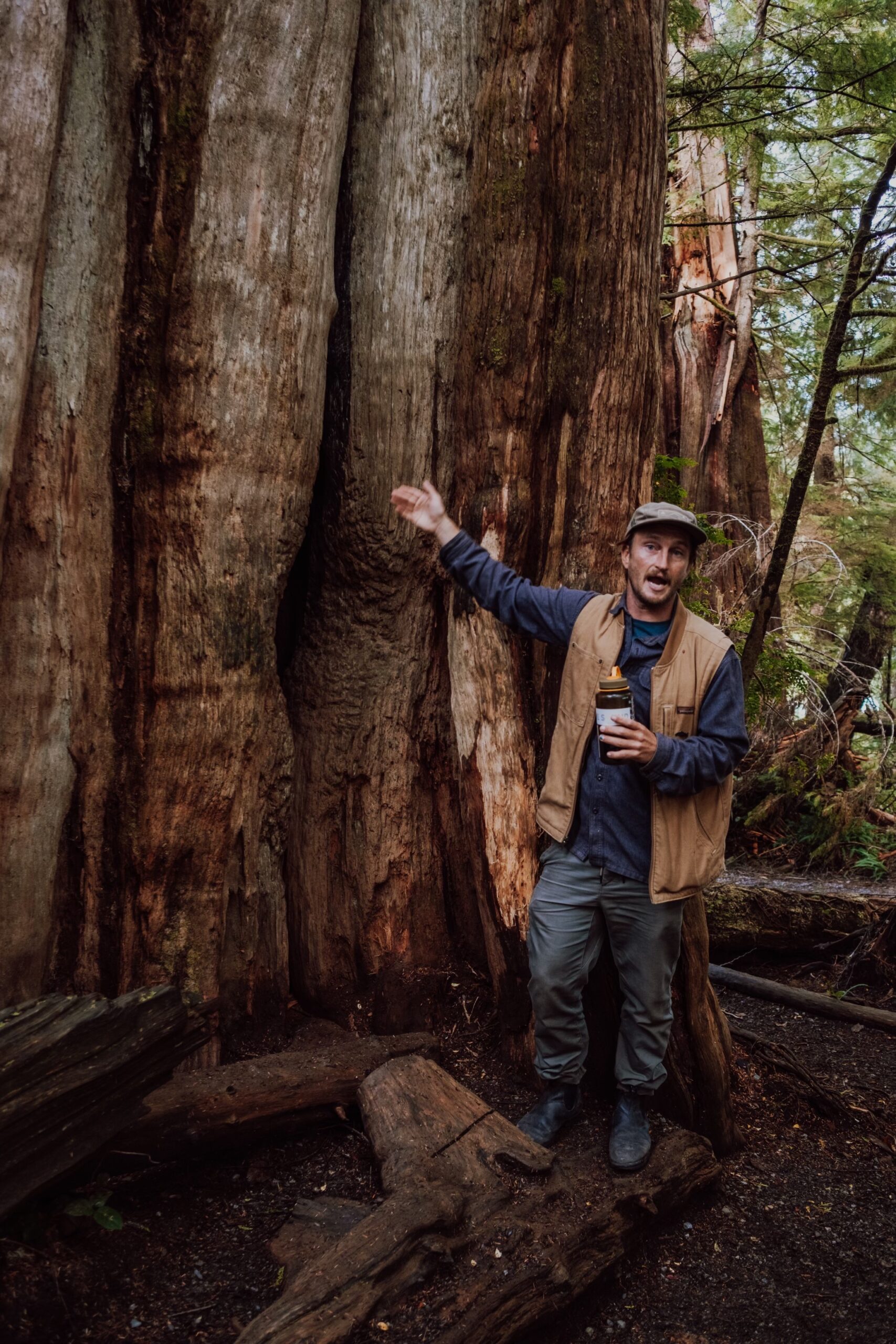 Ross Reid talking in front of an old growth tree