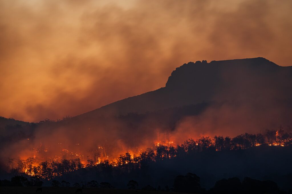 Smoky wildfire with red skies