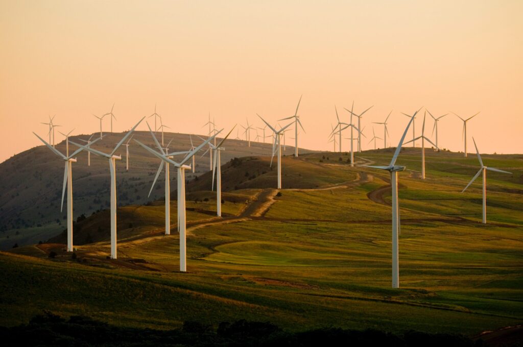 Many wind turbines