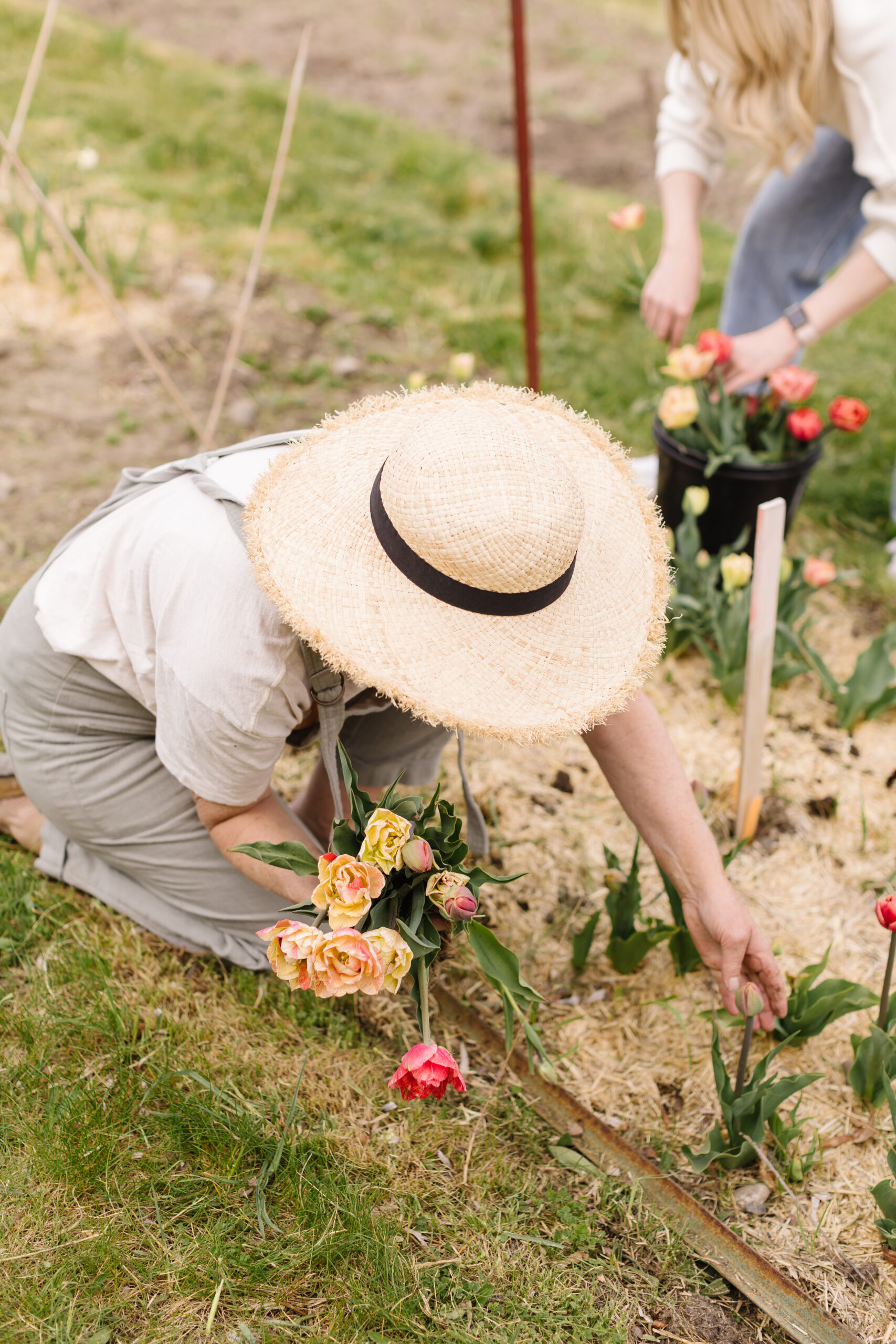 Jillian Harris and Justin Pasutto's Flower Farm Update