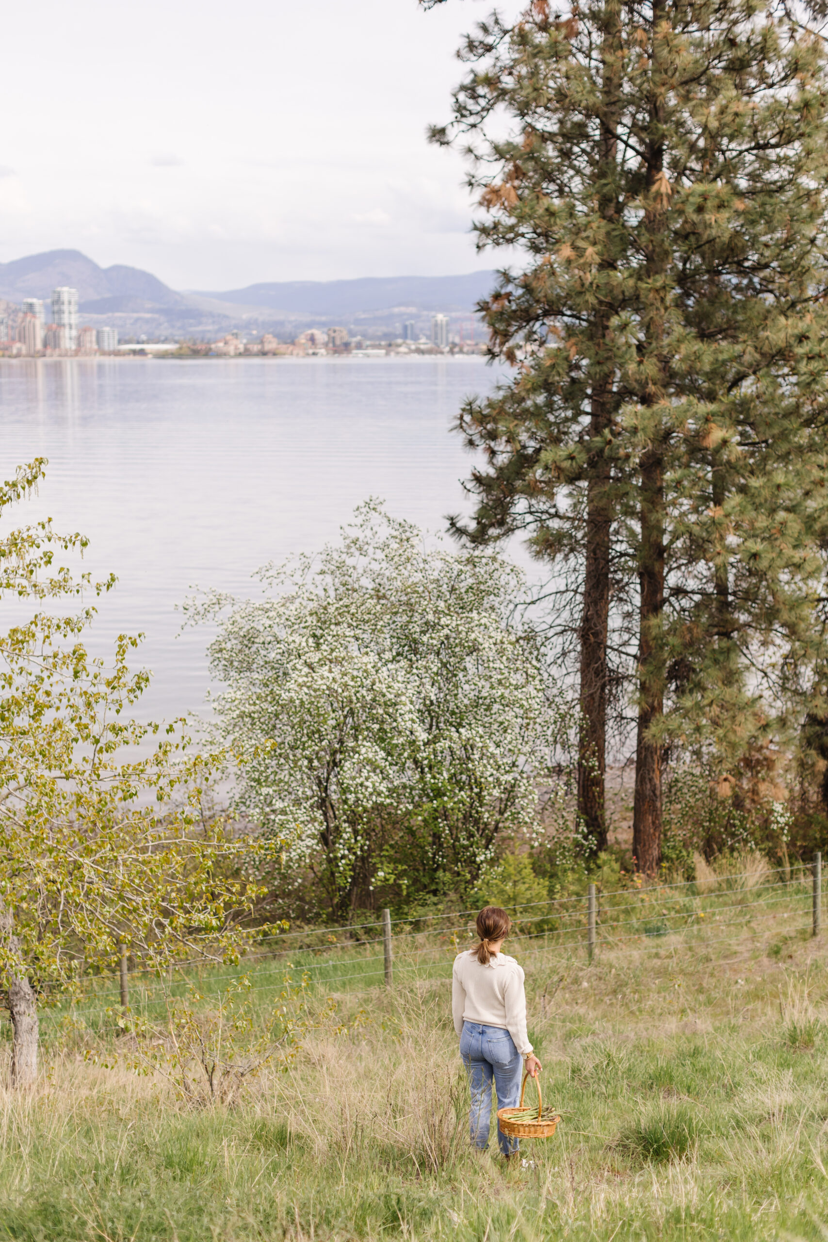 Jillian Harris standing in a field overlooking the Okanagan Valley for the location of Academy at the farm wearing blue jeans and a beige cardigan carrying a basket of asparagus.