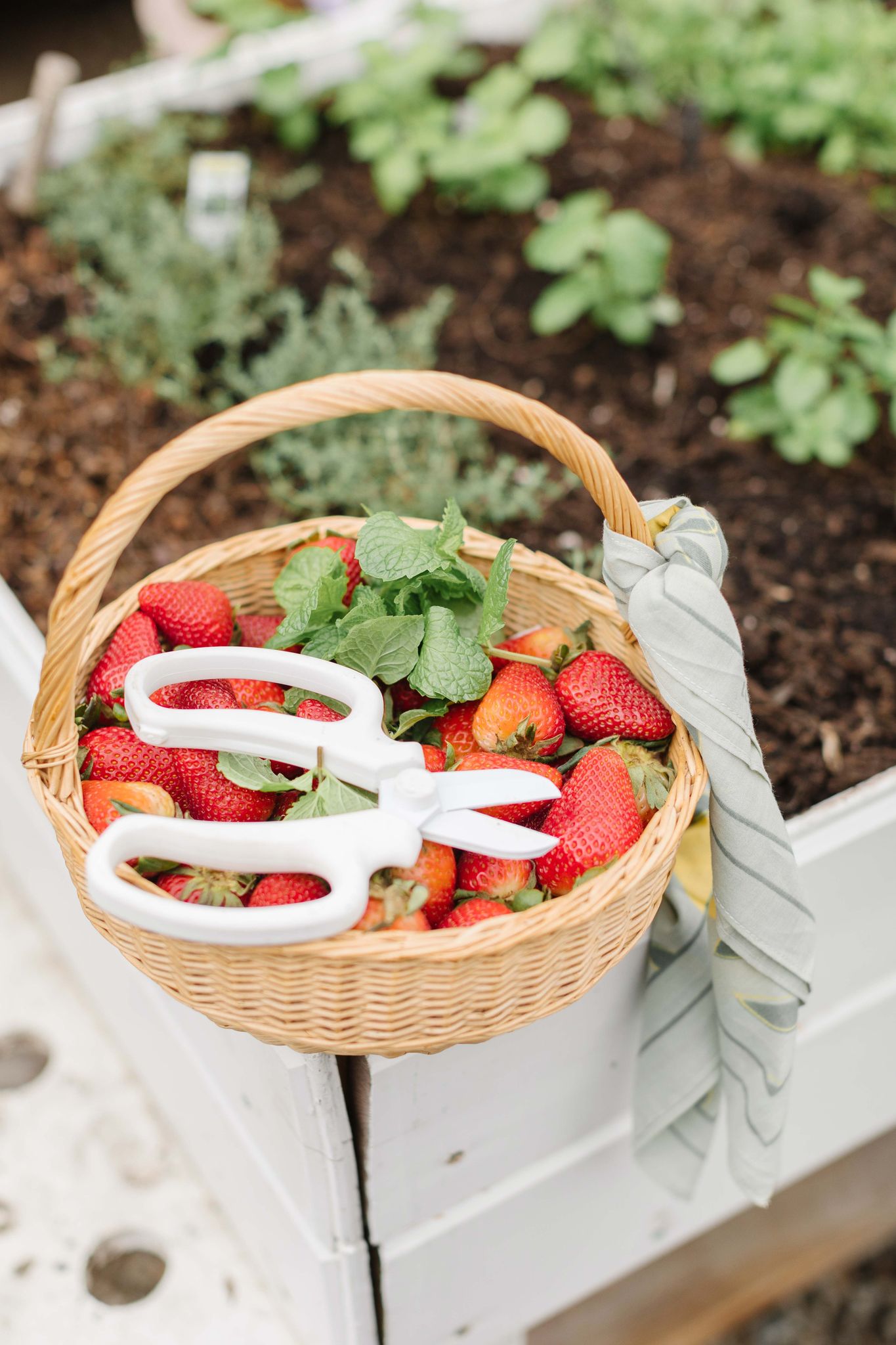 The Flower Snips from Camilia Supply sitting in a basket of strawberries included in the Summer 2022 Jilly Box!