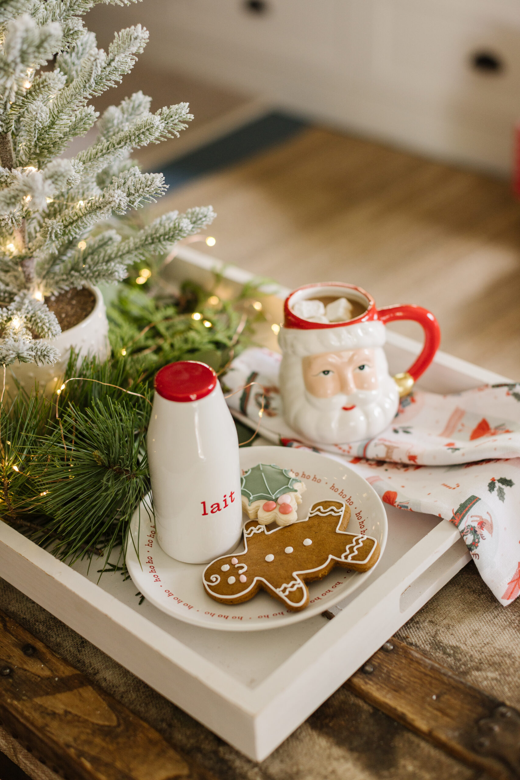 The Vintage Santa Mug and The Milk and Cookie Plate Set from The Jillian Harris x CANVAS Christmas Collection