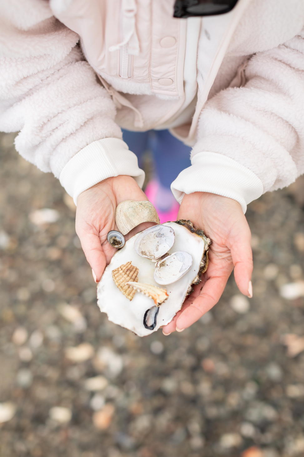 Jillian Harris beach combing in Oak Bay, British Columbia