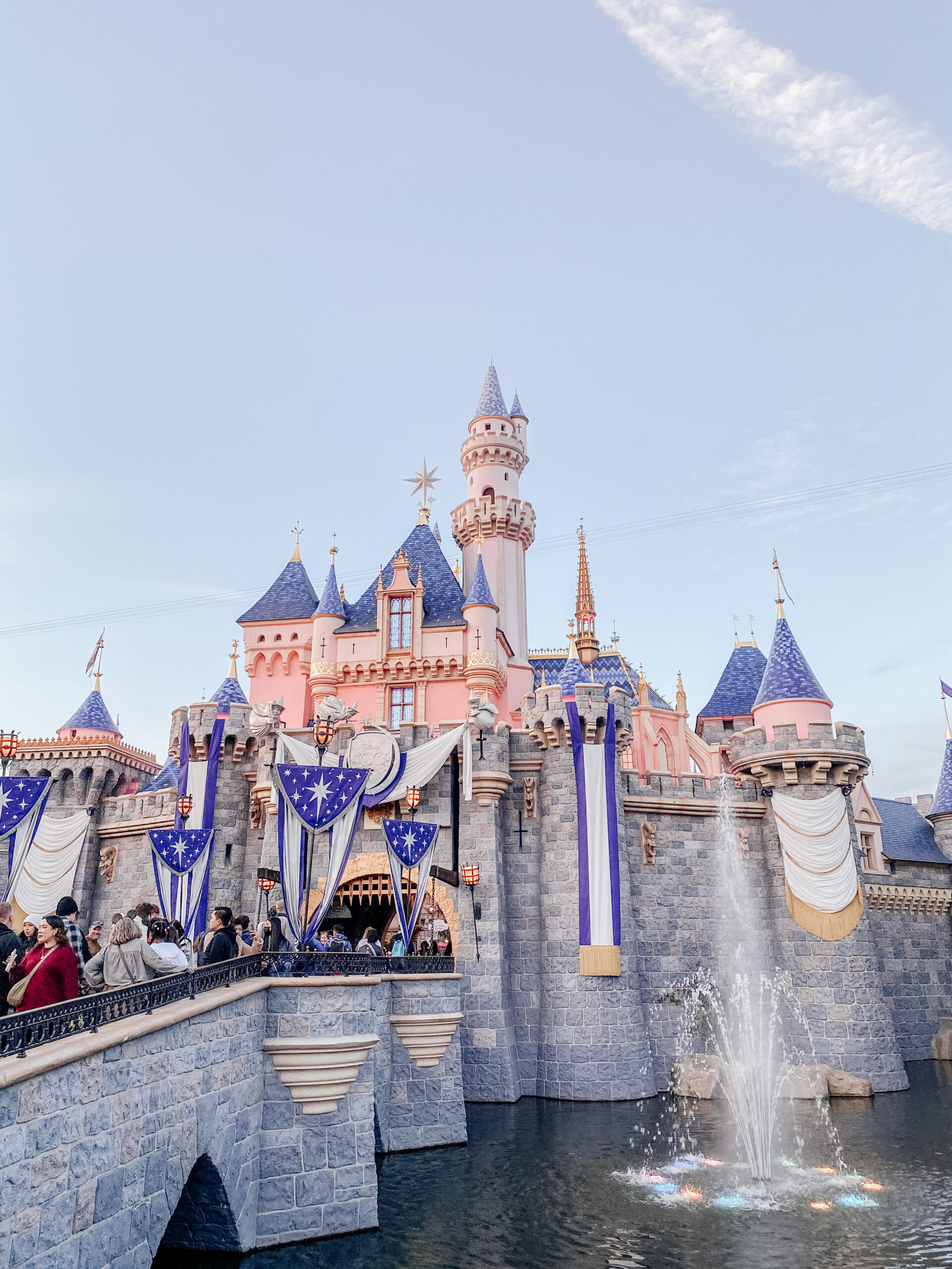 Jillian Harris's recommendations for a day at Disneyland