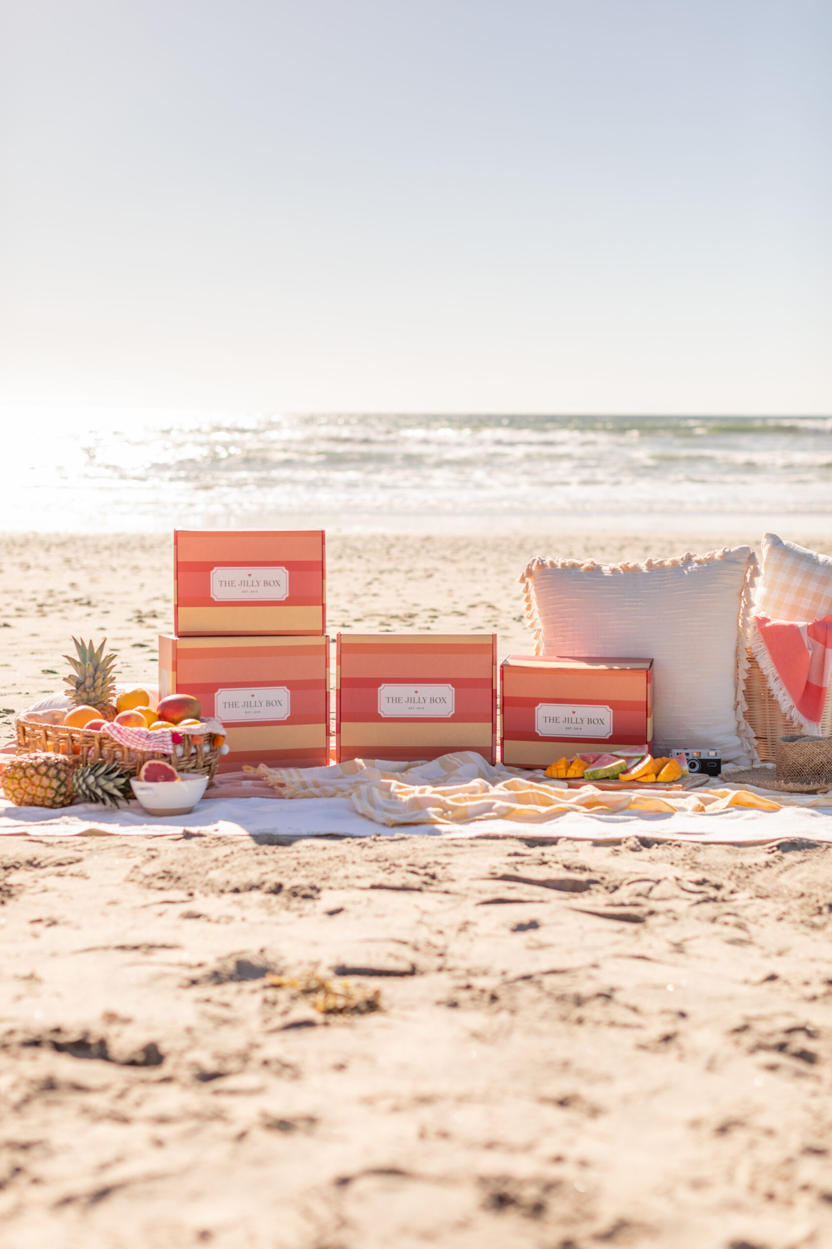 Summer 2023 Jilly Boxes sitting on picnic blanket with fruit on the beach.