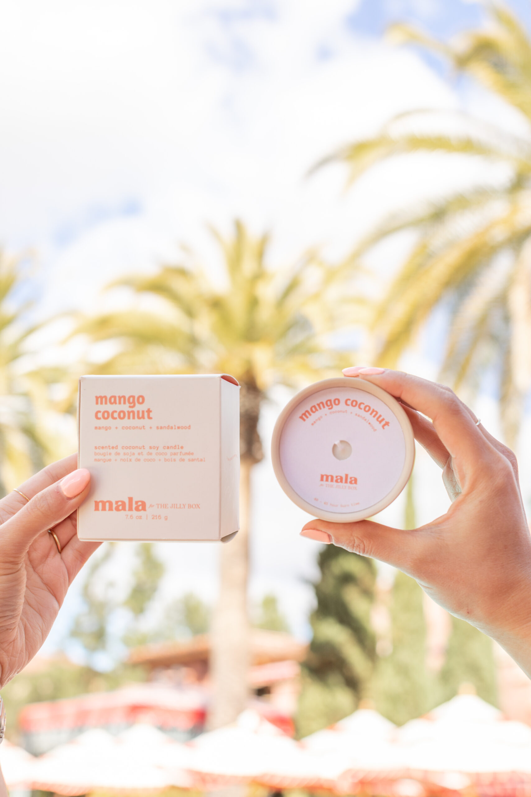 Candle being held up with box in front of palm trees