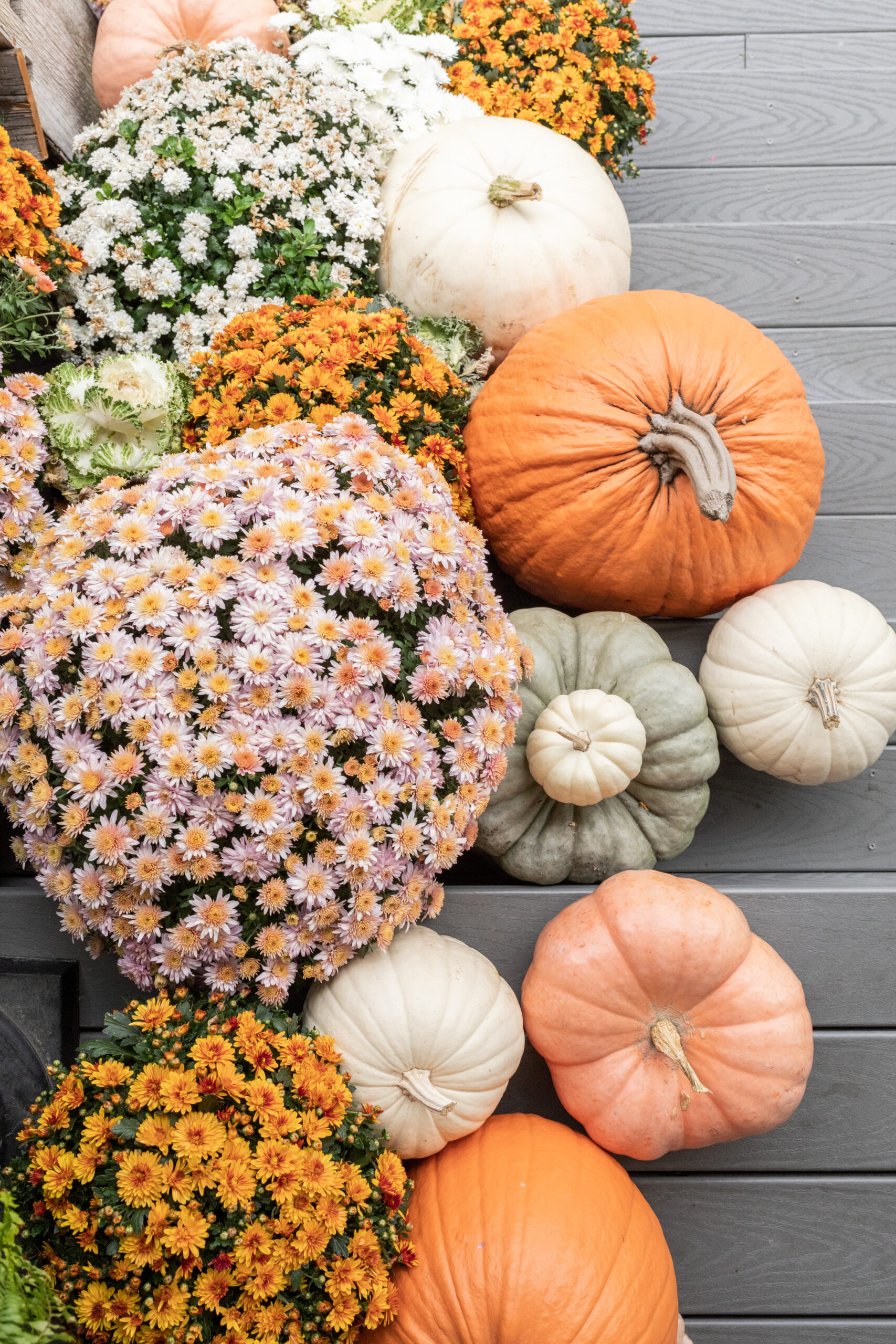 Fall Flowers and Pumpkins on Front Porch