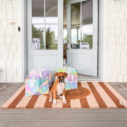 A Special Welcome for Our Littlest Guests: Kids Wedding Welcome Bags Post Featured Image
