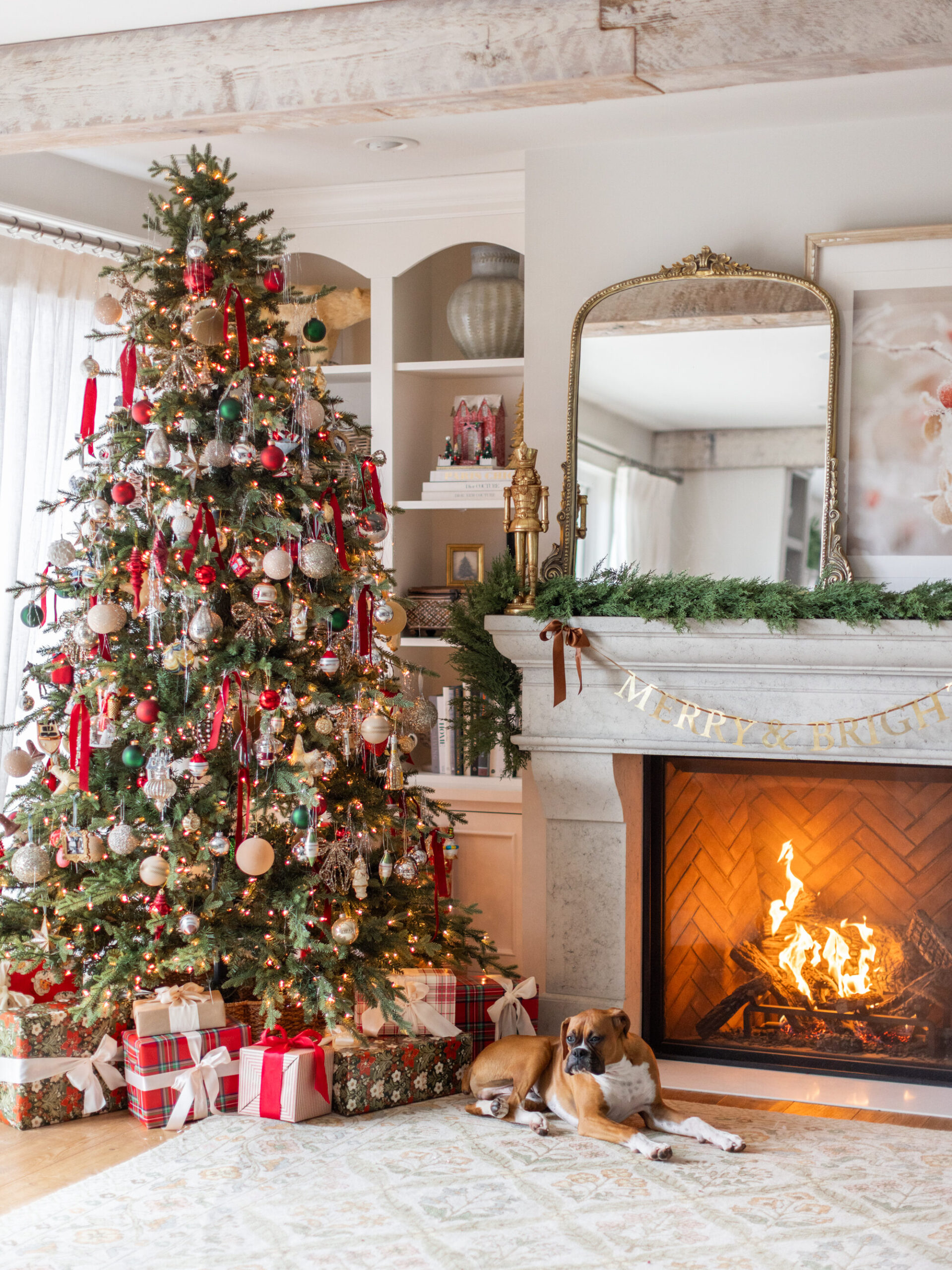 churro sitting in front of the fireplace and christmas tree