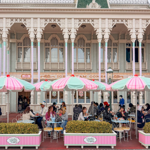 Tokyo Disney: What We’d Do Again (and What We Wouldn’t) Post Featured Image